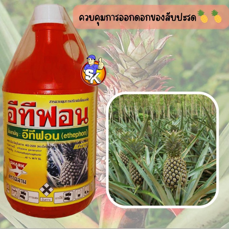 อีทีฟอน (ตราฉลาม) 1ลิตร