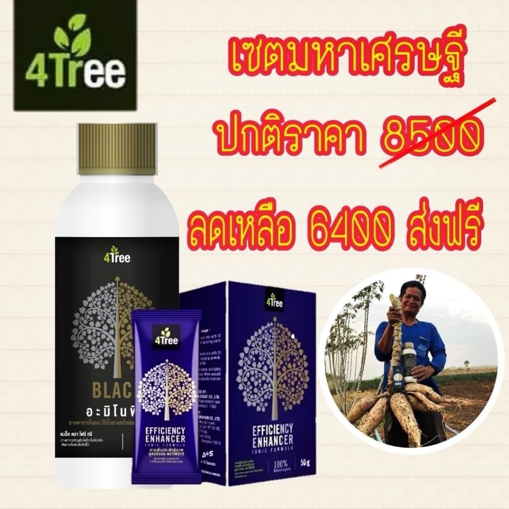 4Tree โฟร์ทรี 10 ซอง + Amino Black อะมิโนแบล็ค 1 ลิตร เร่งราก เพิ่มน้ำหนัก %แป้ง (เซตมหาเศรษฐี)