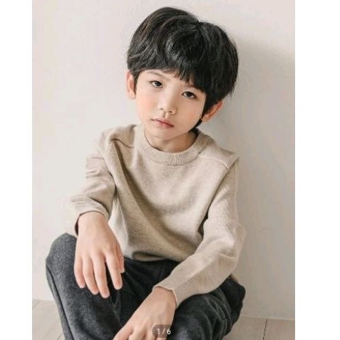 Boys sleeve sweather