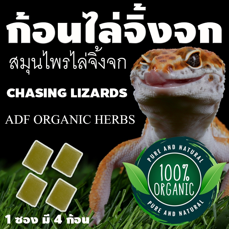 ไล่จิ้งจกorganicสมุนไพรธรรมชาติไล่จิ้งจกภายในบ้าน