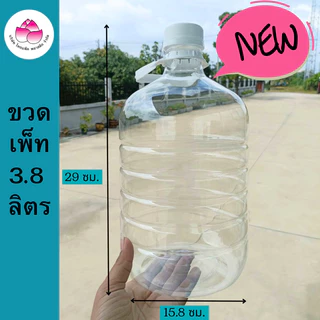 ขวดเพ็ท 3.8 ลิตร และ 5-6 ลิตร (ยกแพ็ค) ทรงกลม,เทสโก้ (พร้อมฝา+หู)