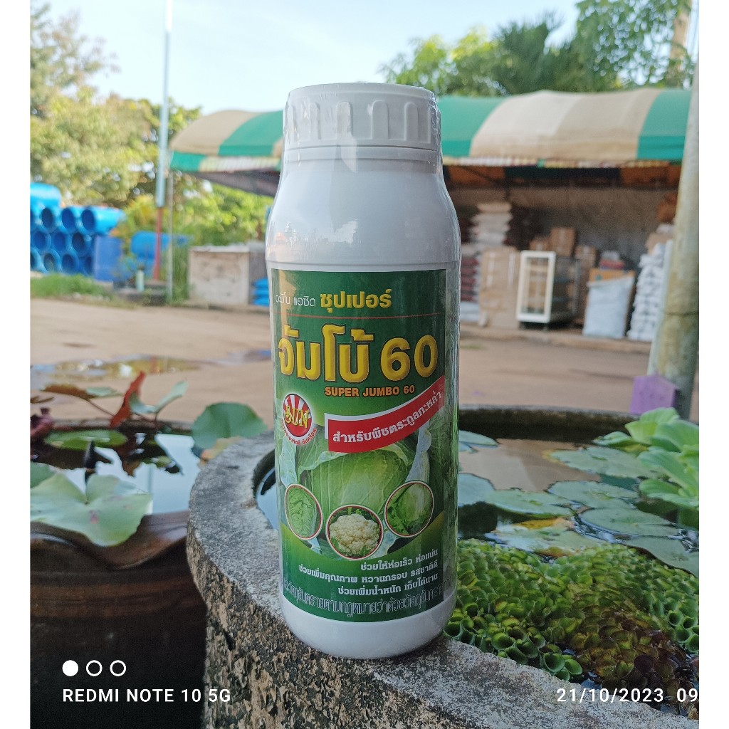 สารเร่งห่อ ซุปเปอร์จัมโบ้60 1ลิตร สำหรับกะหล่ำปลีและผักกาดขาวปลี