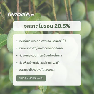 500G/1KG โบรอน 20.5% จุลธาตุโบรอน ละลายน้ำง่าย ไม่มีตะกอน พ่นทางใบหรือไฮโดรโปนิกส์/ Boron 20.5% micronutrient - Chemrich