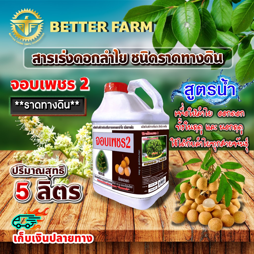 สารเร่งดอกลำไย ชนิดราดทางดิน จอบเพชร 2 ขนาด 5 ลิตร สารราดทางดิน (สีน้ำตาล)