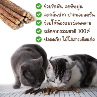 ไม้มาทาทาบิ ไม้ขัดฟันแมว Matatabi แพคละ 5 แท่ง Catnip สายพันธุ์ญี่ปุ่น