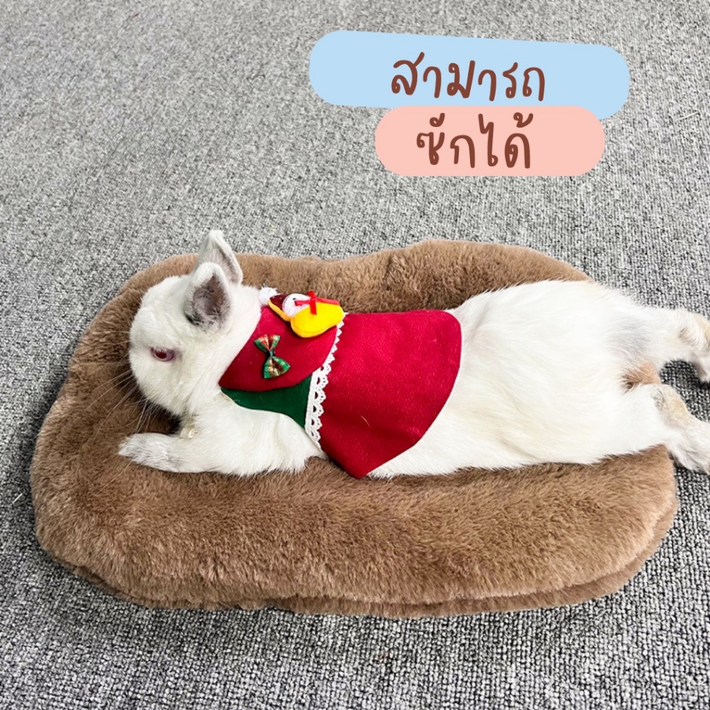 [ส่งไว 1-2 วัน] เบาะนอนสัตว์เลี้ยง เนาะนอนกระต่าย เบาะนอนแมว เบาะนอนลูกแมว ที่นอนกระต่าย แผ่นรองกระต่าย