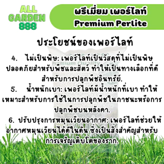 เพอร์ไลท์ เกรดพรีเมี่ยม ขนาด 5ลิตร เพอร์ไลท์ perlite ขนาดเม็ด 4-8มม เพอร์ไลท์ วัสดุปลูก ผสมดิน แคคตัส ไม้อวบน้ำ ไม้ฟอกอ
