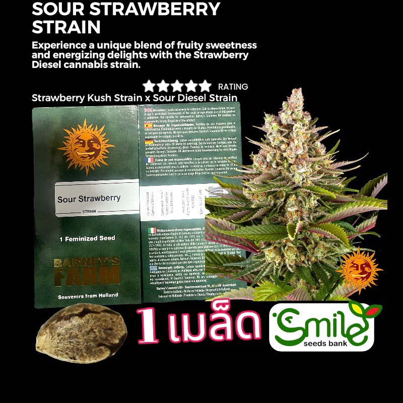 เมล็ดกัญชา Sour Strawberry (Fem) - Barney’s Farm