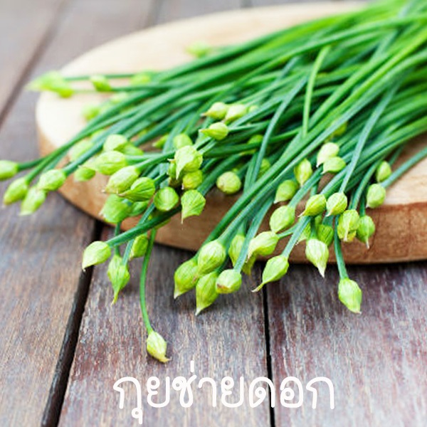 กุยช่ายดอก🎯ถูกที่สุด10บ.🎯 เมล็ดพันธุ์กุยช่ายดอก 40-400เมล็ด☘️งอกง่าย🌱พุ่มใหญ่☘️โตไว🌱ทานอร่อย