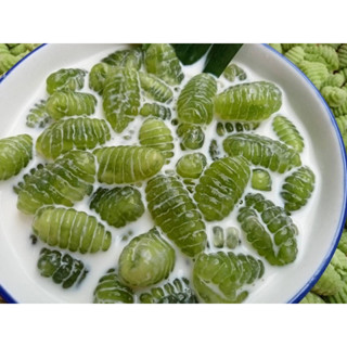 หอมนุ่มหนึบหนับ ตัวสวยตรงปกจ้า/ครองแครงแป้งสาคูใบเตยสดขนาดแพ…