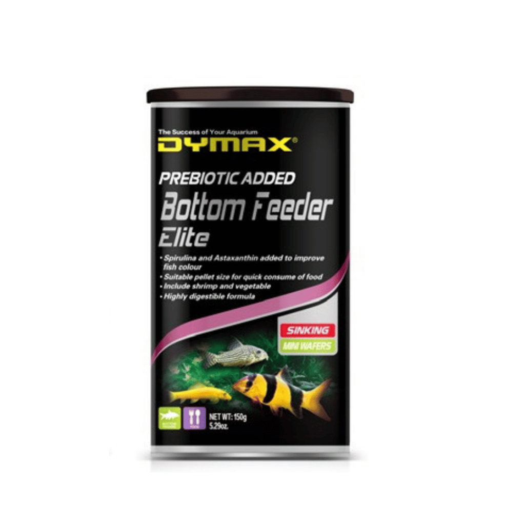 อาหารปลาแพะ ผสมพรีไบโอติก แบบมินิเวเฟอร์จม Dymax Bottom Feeder Elite บอทเทิม ฟีดเด้อร์ อิลีท
