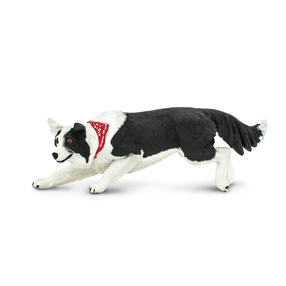 Safari Ltd. : SFR254529* โมเดลสุนัข Border Collie