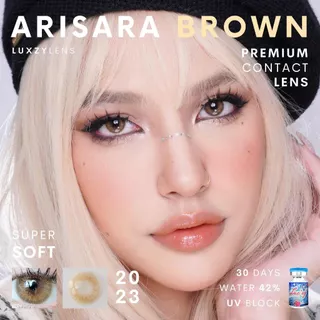คอนแทคเลนส์🌈Arisara🌈 Brown / Gray (Luxzylens) ขนาดมินิ💖