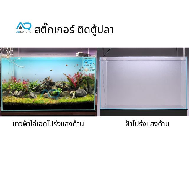 สติ๊กเกอร์ตู้ปลาขาวฟ้าไล่เฉด และฝ้าขาว ติดตั้งง่าย สวยงาม เพลิดเพลินกับสวยงามได้อย่างเต็มอรรถรส