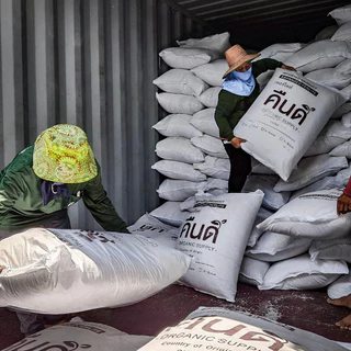 ส่งฟรี ‼️ | เพอร์ไลท์ (Expanded Perlite) | วัสดุผสมดินให้โปร่ง เก็บความชื้น ⚪️