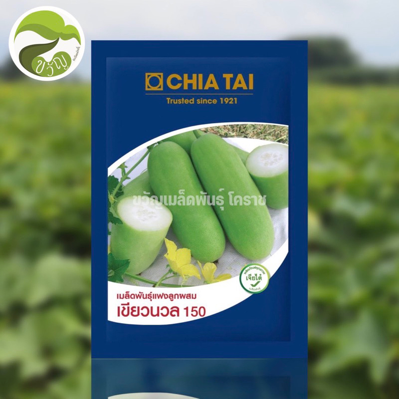 แฟงอ่อนลูกผสม เขียวนวล 150.  50กรัม ลอตใหม่ล่าสุด❗️❗️❗️ - รูปที่ 3