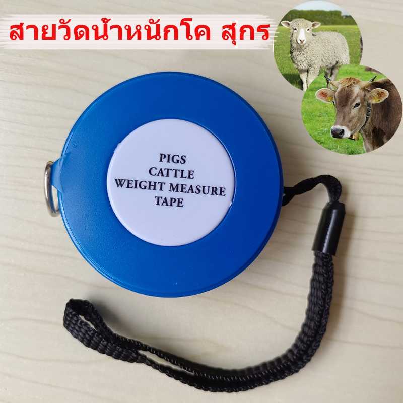 ถูก สายวัดน้ำหนักวัว สายวัดน้ำหนักหมู สายวัดน้ำหนักโค สุกร/โค/แกะ ของแท้ กล่องฟ้า สายวัดน้ำหนักสัตว์