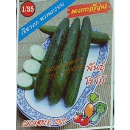 แตงกวาญี่ปุ่นโซเก้ 333