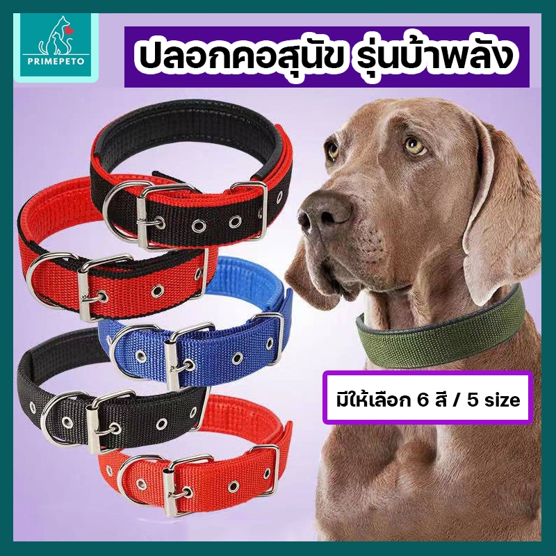 ปลอกคอสุนัขไนล่อนเส้นหนา ใส่สบายไม่อึดอัด บุหนังเทียม ปลอกคอแมว ปลอกคอสัตว์เลี้ยปรับขนาดได้