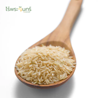 ข้าวกล้องหอมมะลิ 5Kg คัดพิเศษ ปลอดสาร ไม่ใช้สารกันมอด แบรนด์ไร่พระจันทร์ ข้าว กล้องหอมมะลิ ข้าวกล้อง Brown Rice