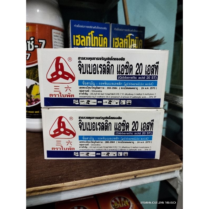 จิ๊บเม็ด20%,จิบเบอเรลลิก ยืดช่อดอก.ขยายผล