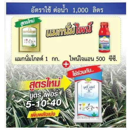 สุดคุ้ม ชุดฮอร์โมนพืช แมกนั่มไพน์ (แมกนั่มโกลด์1กก. +ไพน์ไจแอนด์ 500 ม.ล. )+ปุ๋ยทางใบ นูตริเฟอร์ 5-10-40 ถุง5กก.สูตรตัวท