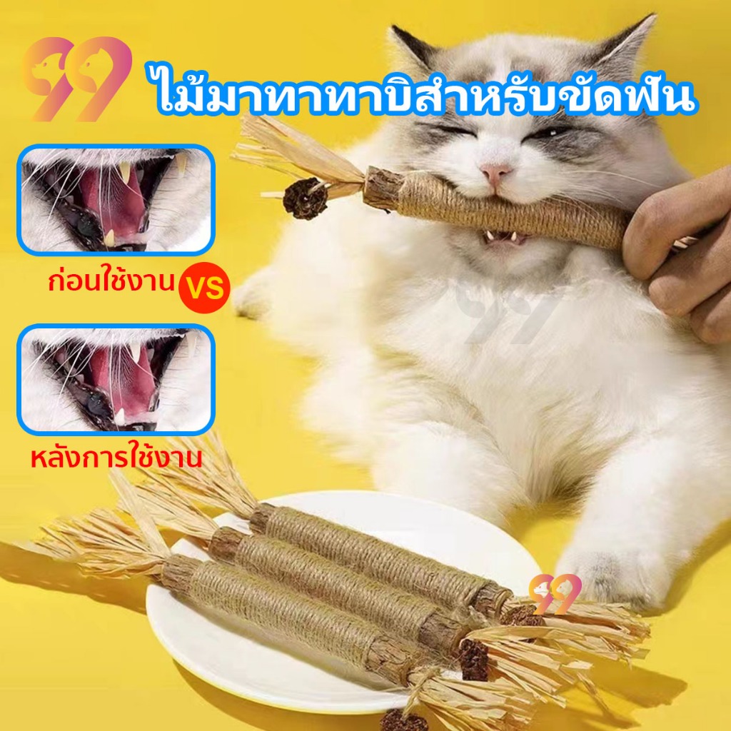 ไม้มาทาทาบิขัดฟันแมว ตัวช่วยลดคราบหินปูนและคลายเครียดให้เหมียว