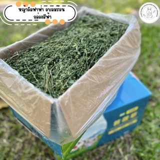 CHA Brown Rabbit Food หญ้ากระต่าย หญ้าอัลฟาฟ่าอบลมร้อน Super Premium Alfalfa Grass 1Kg(กล่องน้ำเงิน)
