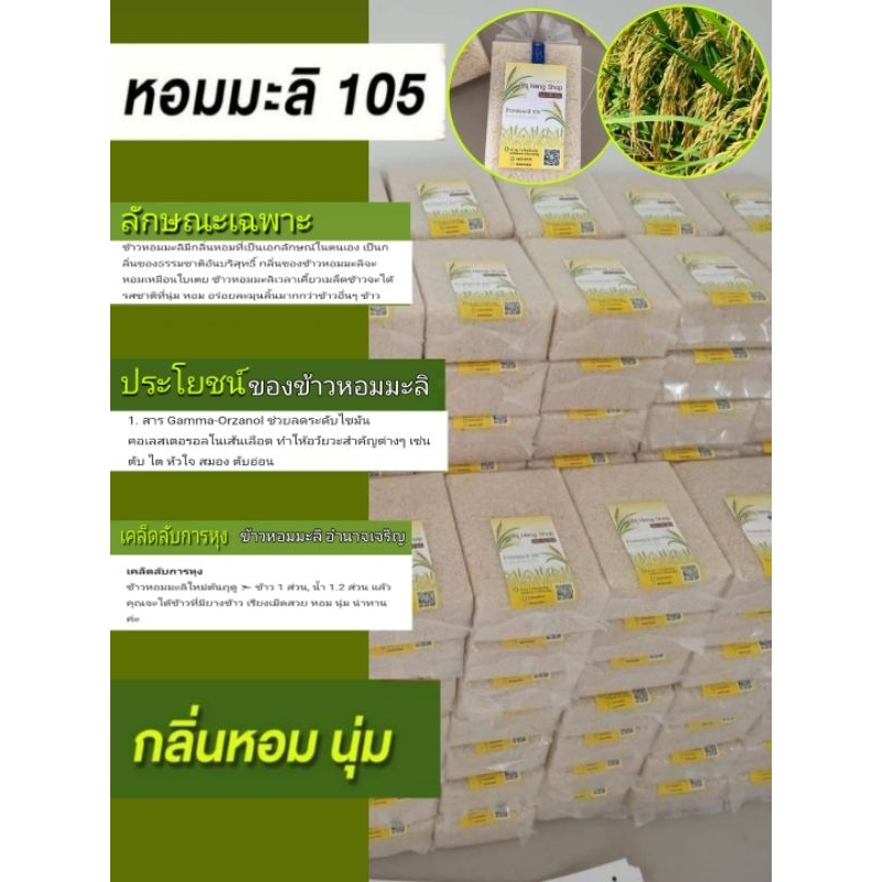 ข้าวหอมมะลิ105(ข้าวใหม่ 66-67)#ปลอดสาร#ปลูกเองขายเองจากอำนาจเจริญ