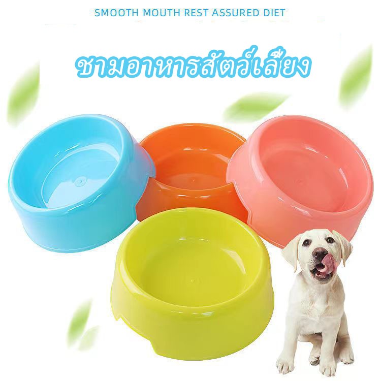 ชามอาหารสัตว์เลี้ยง หมา แมว ชามใส่อาหารสำหรับสัตว์เลี้ยง ที่ใส่อาหารสัตว์เลี้ยง14x5.5ซม ที่ใส่อาหารสัตว์เลี้ยง