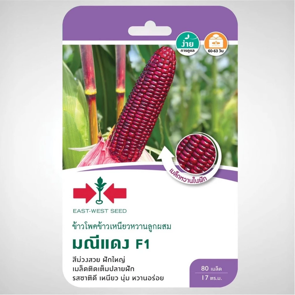 ข้าวโพดข้าวเหนียวหวานลูกผสม F1 มณีแดง 80 เมล็ด ศรแดง