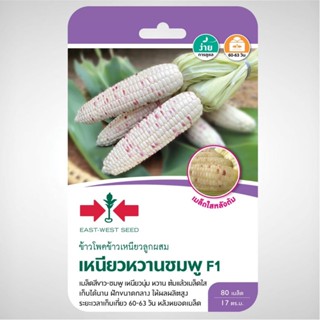 ข้าวโพดข้าวเหนียว F1 เหนียวหวานชมพู 80 เมล็ด ศรแดง
