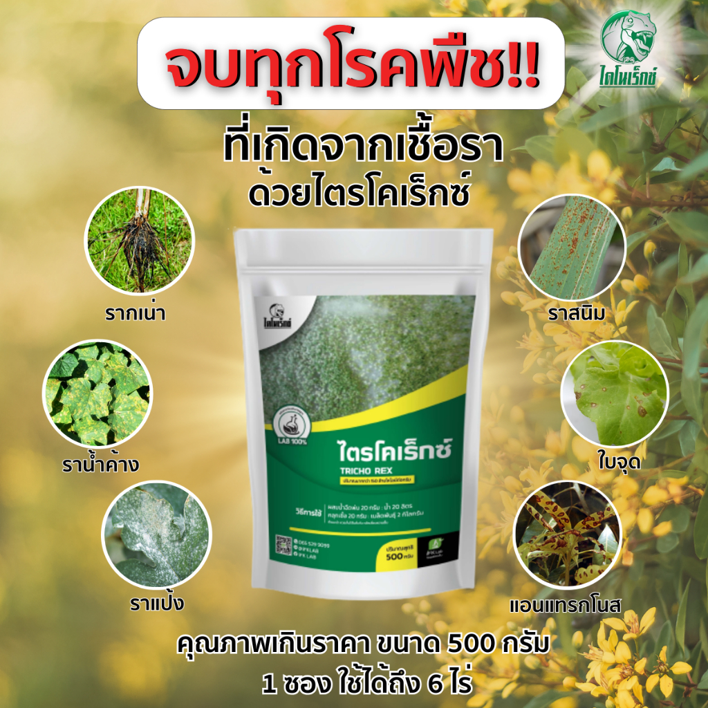 กำจัดเชื้อรา แก้ปัญหาโรคเน่า รากเน่า ใบไหม้ ผลเน่า ในพืชทุกชนิด ด้วยไตรโคเดอร์มา ขนาด 500 กรัม