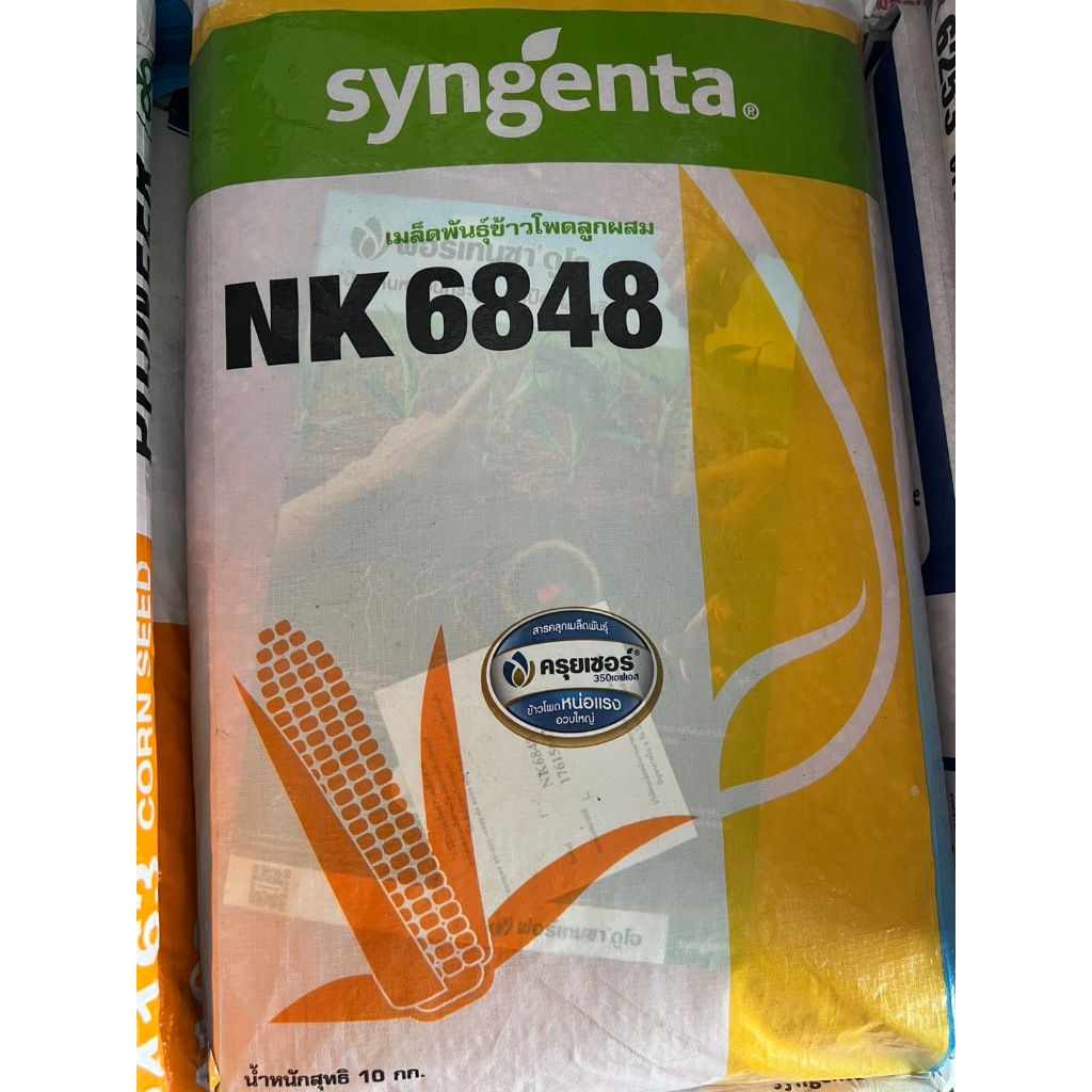 เมล็ดพันธู์ข้าวโพด NK6848
