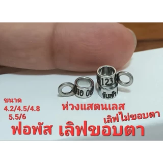 ห่วงขานก วัสดุแสตนเลส