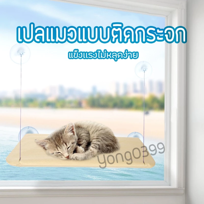 เปลแมวติดกระจก รับน้ำหนักได้ถึง 20kg เปลสัตว์เลี้ยงสีพาสเทล ที่นอนแมว บ้านแมว