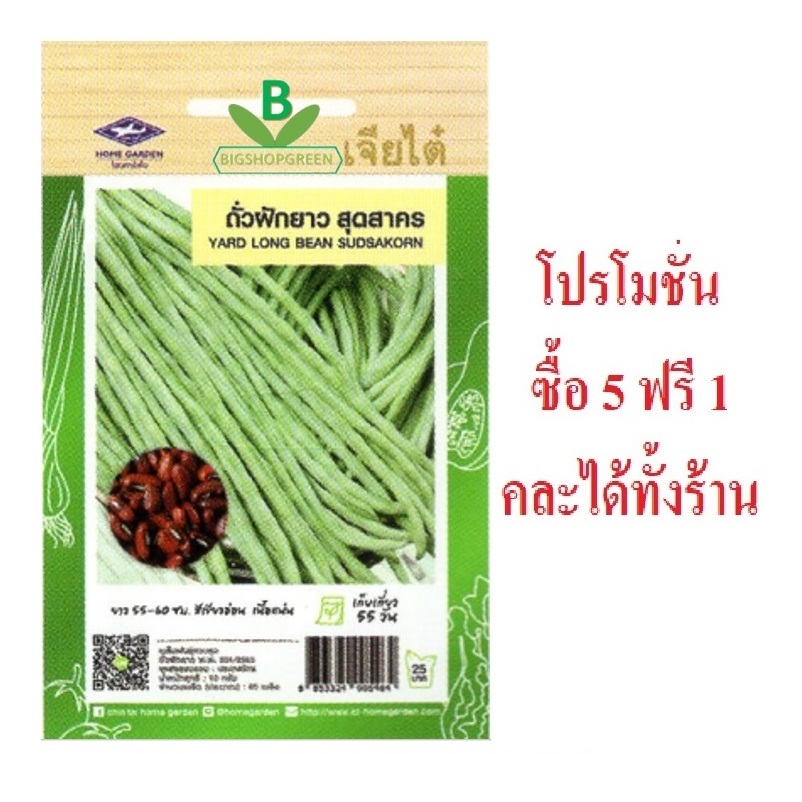 5 แถม 1 คละได้ทั้งร้าน เมล็ดพันธุ์ ถั่วฝักยาว สุดสาคร เจียไต๋ เมล็ดพันธุ์คัดพิเศษ ความงอกสูง ปลูกง่าย โตไว