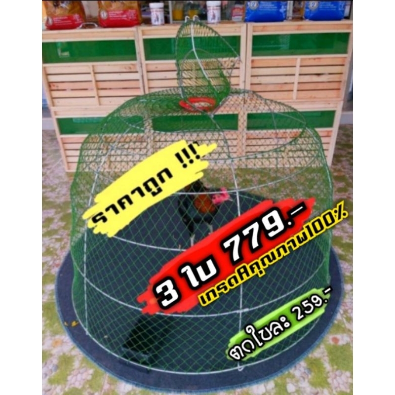 #สุ่มไก่ชน สุ่มเปิดบนเซ็ท 3 ใบ เกรดดีเยี่ยม
