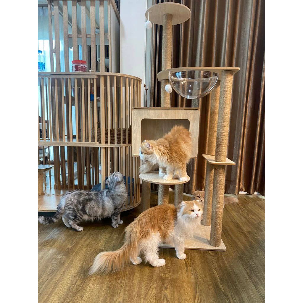 ส่งฟรี [ สินค้าเเมว CAT-001 ] มี 6 สี คอนโดแมวไม้ มินิมอล ที่นอนแมว สูง 145 CM