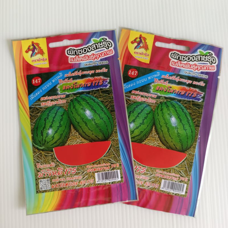 เมล็ดพันธุ์ แตงโม ลาย 175 (1 กรัม) จากอเมริกา เนื้อแดง กรอบ หวานดี ตราม้ารุ้ง แตงโม เมล็ดแตงโม