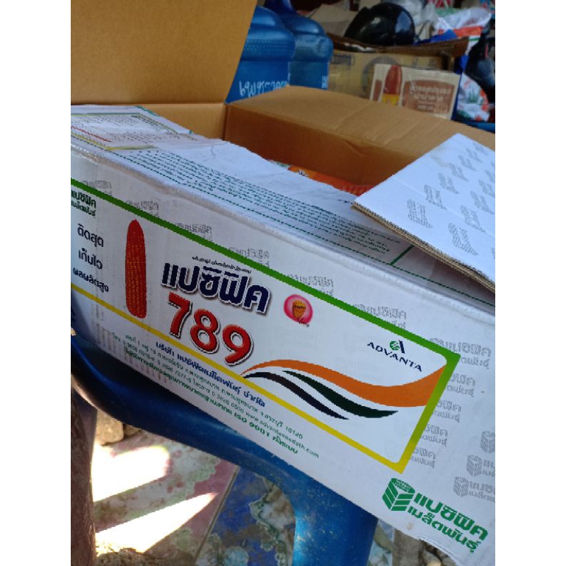 เมล็ดข้าวโพด แปซิฟิค789ต้องการเยอะ ทักแชทพร้อมได้ส่วนลด  ผลผลิตสูง ขนาด 5และ10กิโลกรัม สินค้ามีพร้อม