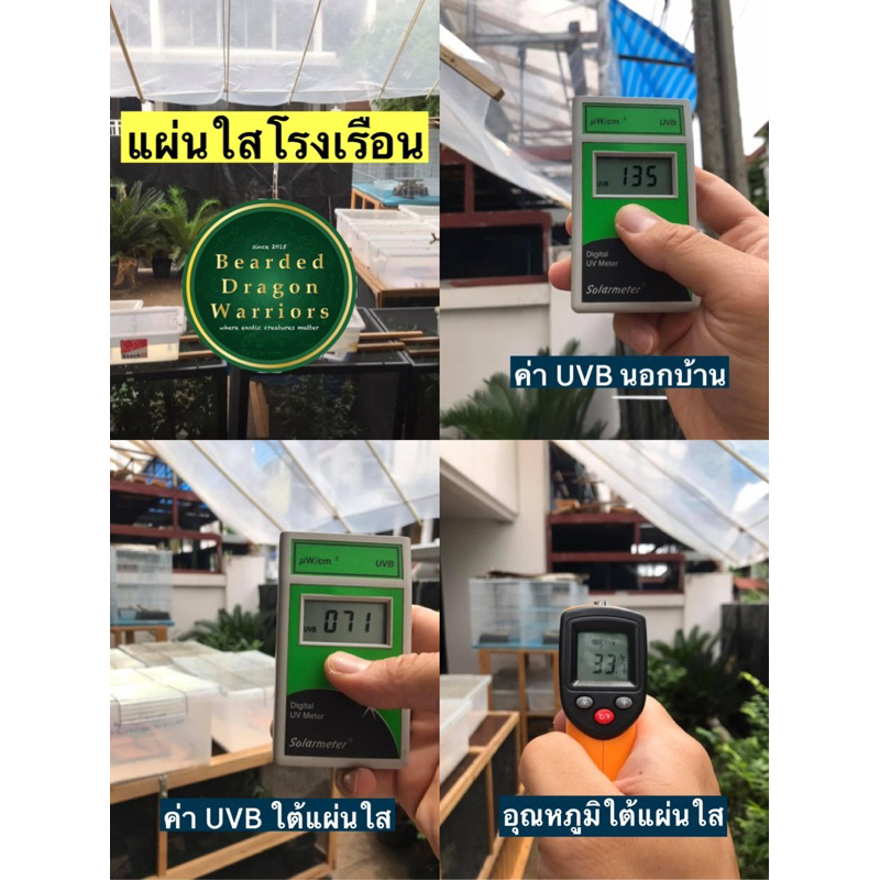 แผ่นใสโรงเรือน 🌟UVB สามารถ ✅ผ่านได้ ใช้เลี้ยงสัตว์ที่ต้องการ UVB (แบ่งขายเป็นเมตร)