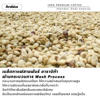 เมล็ดกาแฟออแกนิคเกรดพรีเมี่ยม เกรดA เชียงใหม่ วอชด์โพรเซส ดอยปู่หมื่น กาแฟอราบิก้า100% บรรจุถุงซิปล็อคติดวาล์ว 250 กรัม