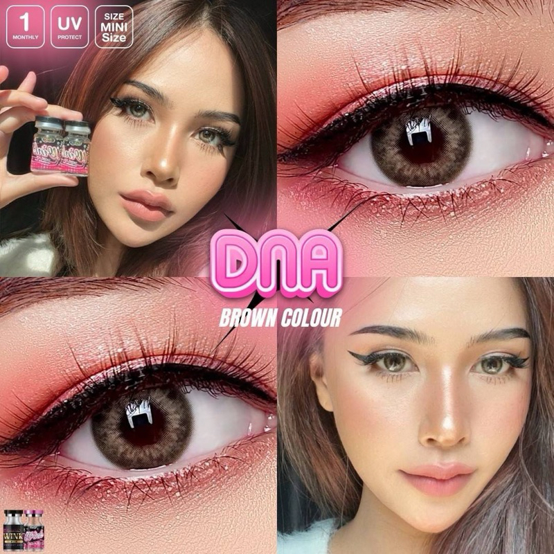 คอนแทคเลนส์ Wink Lens DNA ค่าสายตา 0.00 ถึง -5.00