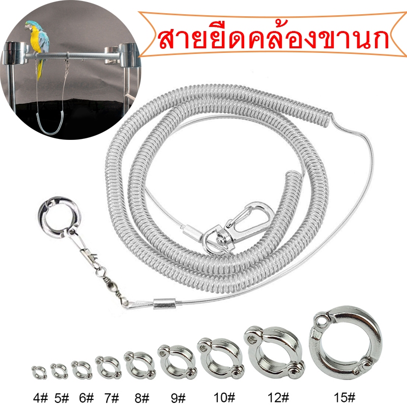 ถูก💥สายยืดคล้องขานก +ห่วงขานก สายจูงนก ยืนคอน​ ฝึกบิน​ยืดได้​ ยาว ​3เมตร ป้องกันนกหลุด