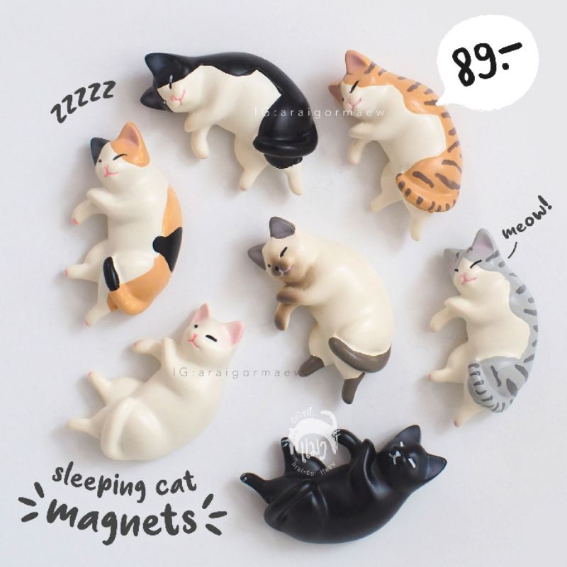 สินค้าขายดี พร้อมส่ง : แม่เหล็กโมเดลแมวเหมียว ชุด "ก็มันเพลียนี่ฮ้าบบบบ
