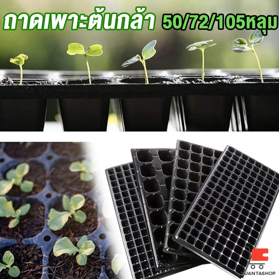 ถาดเพาะชำ/ต้นกล้า/เมล็ด ใช้ซ้ำได้ Seedling Tray