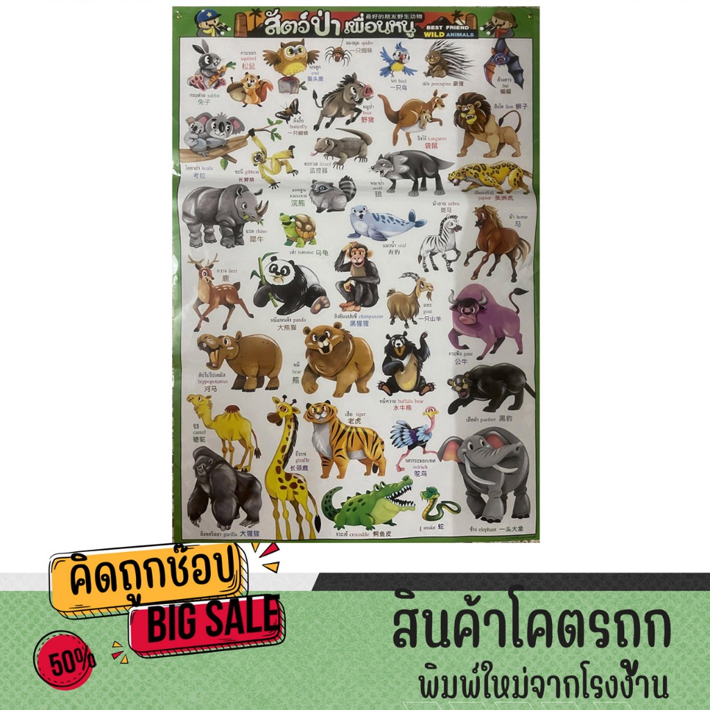 kidtuk โปสเตอร์เพื่อการเรียนรู้ โปสเตอร์เพื่อการศึกษา  สัตว์ป่าเพื่อนหนู การถ่ายทอดเรื่องราวด้วยรูปภาพ พัฒนาความจำได้ดี