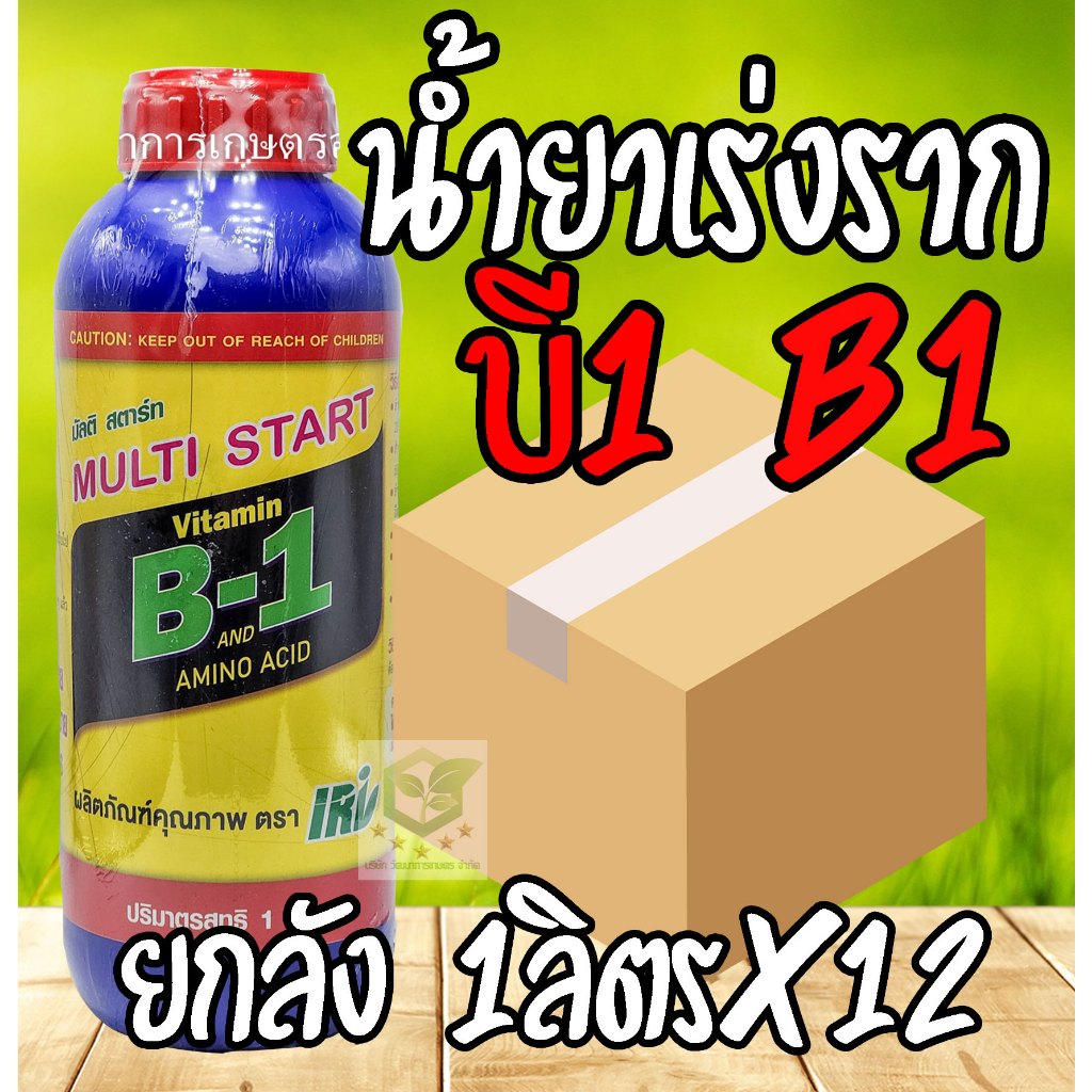 //ยกลัง12ขวด// B-1 บี-วัน ยาเร่งราก ขนาด 1,000 ml. น้ำยาเร่งราก B1 บี-1 บี เร่งราก ราก B1 บี1 บี-1 น