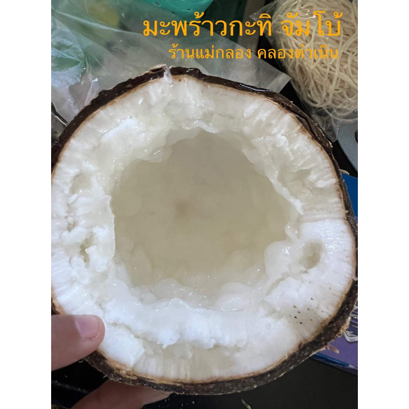 มะพร้าวกะทิ ไซส์ จัมโบ้ 1.3 กก.ขึ้นไป สดๆจากสวน จัดส่งไว 1-3 วัน